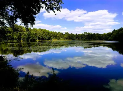 Etang de Valloire, Sologne, Centre Val-de-Loire