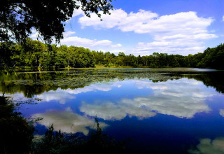 Etang de Valloire, Sologne, Centre Val-de-Loire