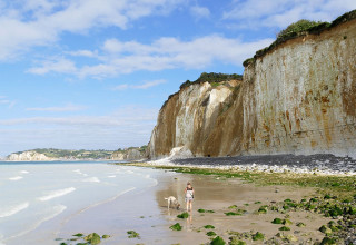 Falaises rocheuses de la côte Normande