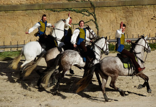 Spectacle de chevalerie, Puy-du-Fou, Vendée