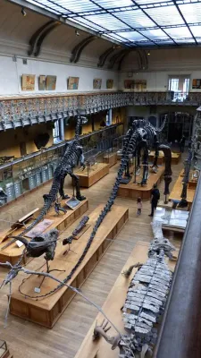 Muséum National d’Histoire Naturelle, Paris