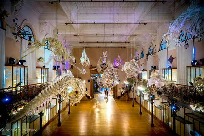 Musée océanographique, Monaco - ©Harakis06