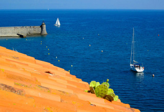 Vue sur le Port-de-Collioure, Pyrénées-Orientales