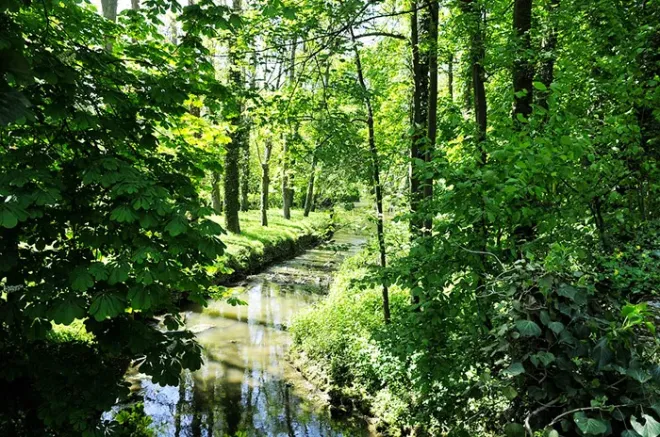 Balade à la Vallée de Yerres, Essonne, Ile-de-France