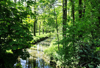 Balade à la Vallée de Yerres, Essonne, Ile-de-France