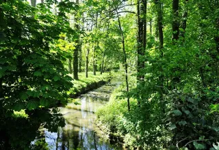 Balade à la Vallée de Yerres, Essonne, Ile-de-France