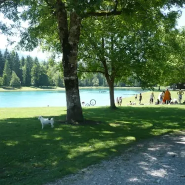 Chien blanc sous un arbre près d'un lac, personnes se détendant sur l'herbe, Camping de Samoëns