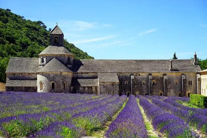 Abbaye de Senanque, Vaucluse