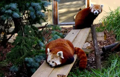 Parc zoologique d'Amnéville, Moselle