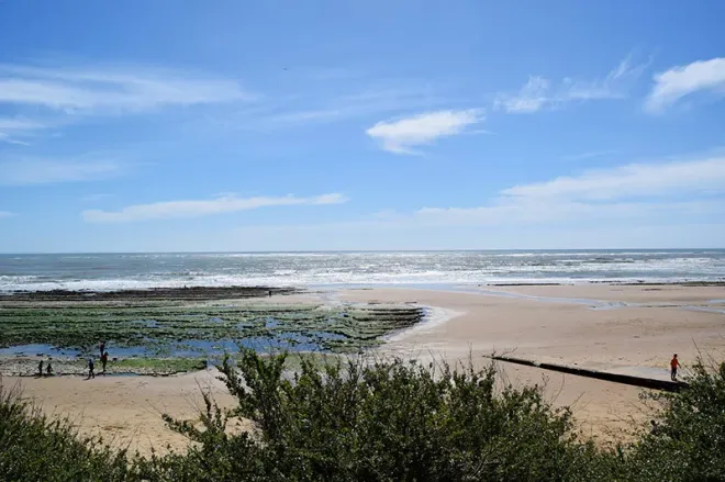 Balade sur une plage à proximité de La Tranche-sur-Mer