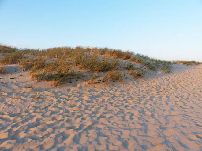 Dune de sable, plage près des Mathes en Charente-Maritime 