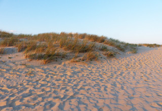 Dune de sable, plage près des Mathes en Charente-Maritime