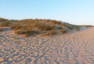 Dune de sable, plage près des Mathes en Charente-Maritime