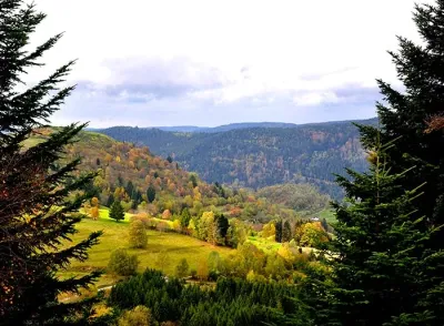 Parc naturel régional des Vosges du Nord, Grand-Est