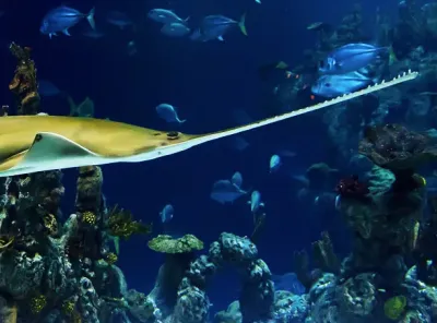 Aquarium Océanopolis de Brest, Bretagne