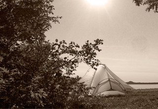 Les origines du camping