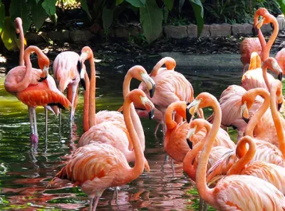 Parc Phoenix de Nice, Provence-Alpes-Côte-Azur