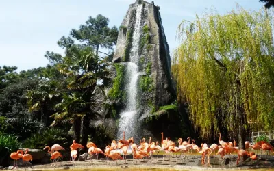 Location camping La Palmyre, Charente-Maritime