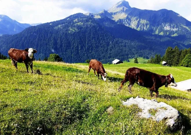 Les Alpes, Haute-Savoie