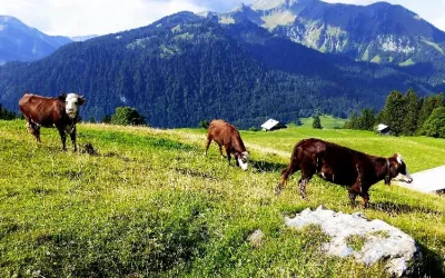 Les Alpes, Haute-Savoie