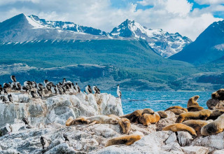 Ushuaïa dans la province de Terre de Feu, Argentine