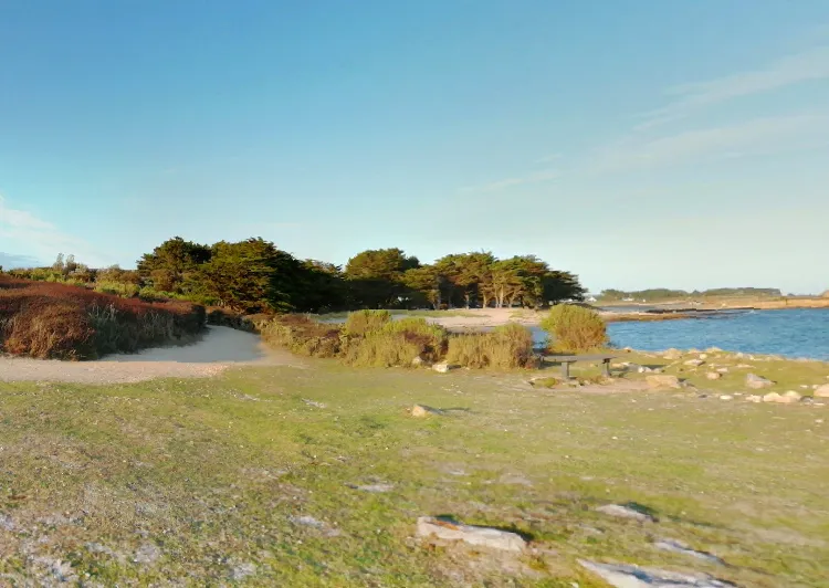 5 bonnes raisons de faire du camping à La Trinité-sur-Mer